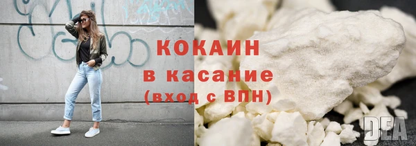 прущие грибы Куйбышев