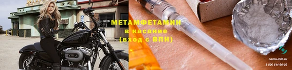 прущие грибы Куйбышев