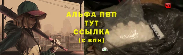 дмт Ладушкин