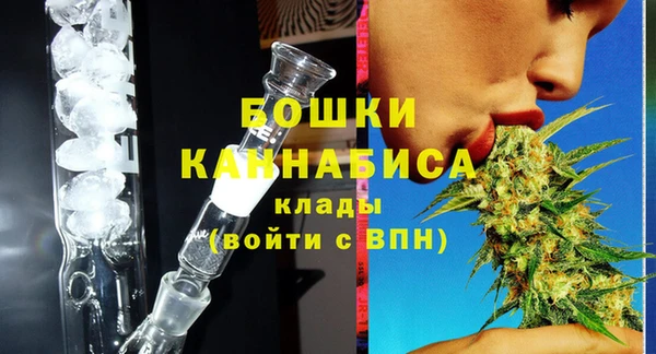 дживик Кострома