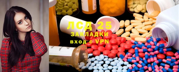 прущие грибы Куйбышев