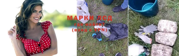 прущие грибы Куйбышев