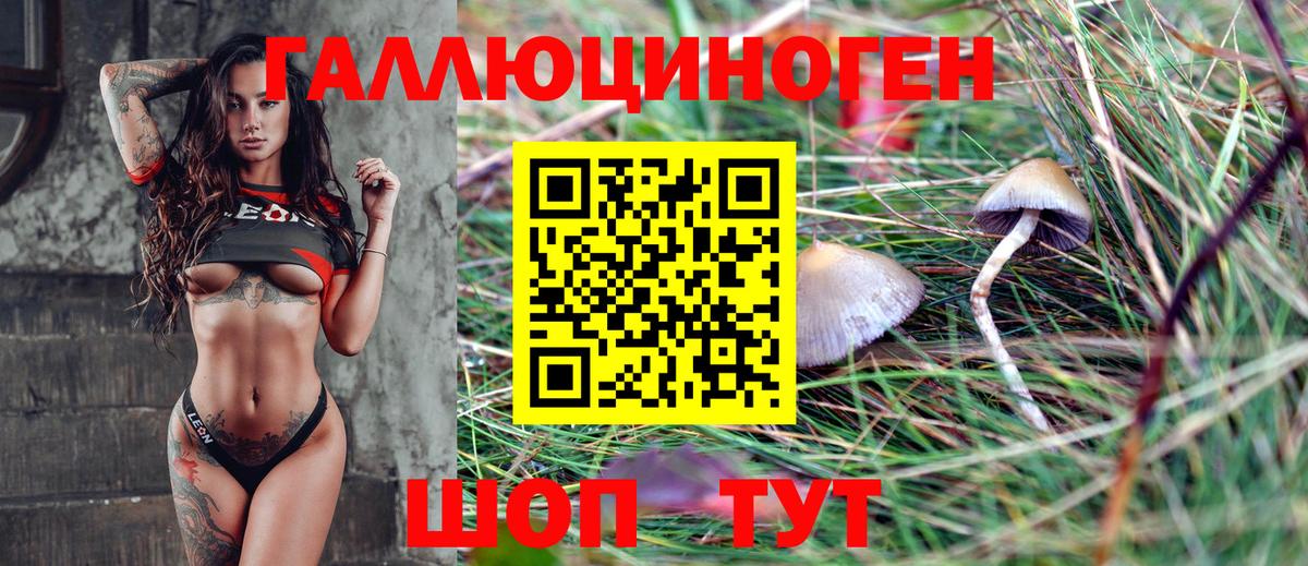 Павловский Посад  Псилоцибиновые грибы мухоморы  Вход с VPN 