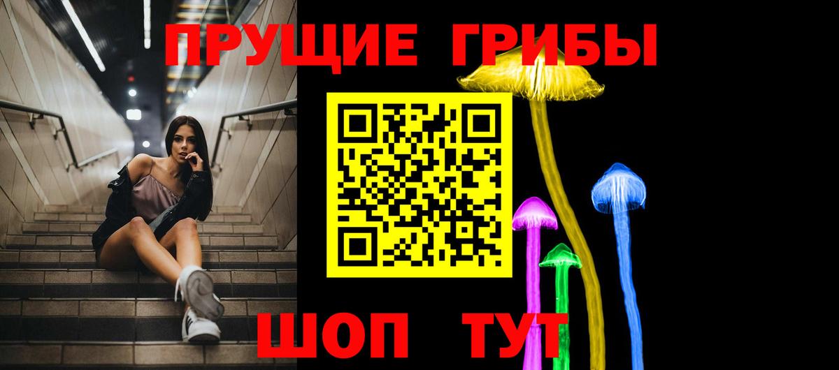 Псилоцибиновые грибы GOLDEN TEACHER Павловский Посад