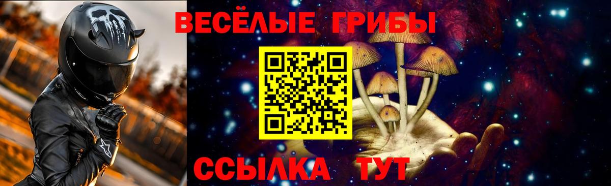 Псилоцибиновые грибы прущие грибы  Псилоцибиновые грибы Cubensis  магазин  наркотиков  Павловский Посад 